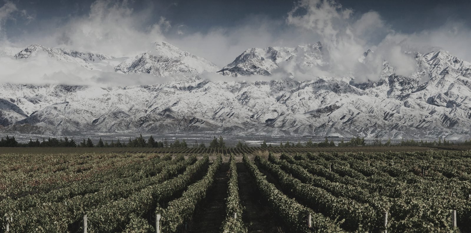 Mendoza