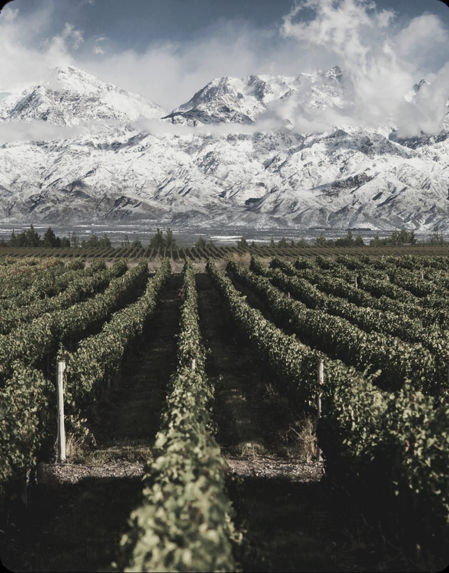Mendoza